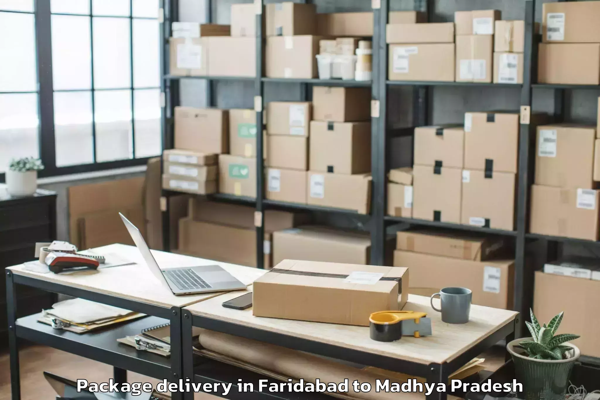 Book Your Faridabad to Porsa Package Delivery Today